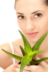 Resipi aloe dari kedutan pertama